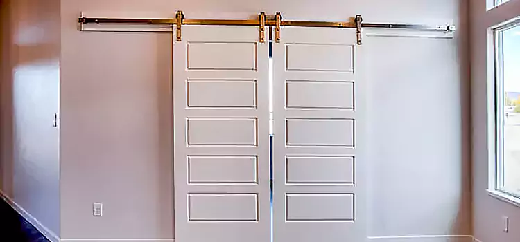 Glass Barn Door with Installation Hardware Kit Fort Saskatchewan